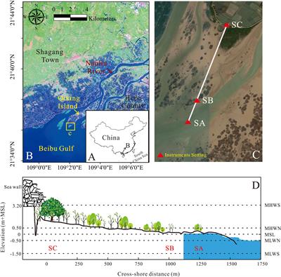 Wave Attenuation Over Mangroves in the Nanliu Delta, China